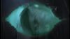 Filename=KH_episode12_00073.jpg
Filesize=18KiB
Dimensions=853x480
Date added=Sep 25, 2007 KH_episode12_00073.jpg