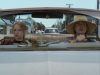 Pictures_of_Hollis_Woods__DVD_Screencaps_BJ_00235.jpg