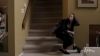 Filename=Jodelle-Girl-Fight_129.jpg
Filesize=80KiB
Dimensions=1920x1080
Date added=Oct 13, 2011 Jodelle-Girl-Fight_129.jpg