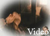 beautifuljodelle_video3.flv